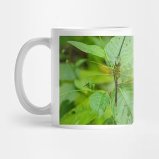 Giant Dragonfly Mug